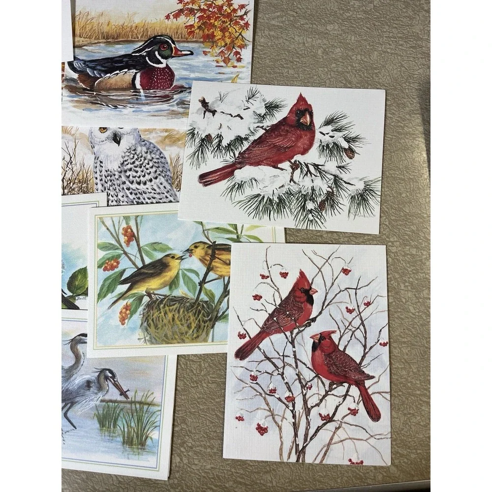 Birds Bird Notecard Card Lot w/ Envelopes Frameable Art Duck Cardinal Blue Jay